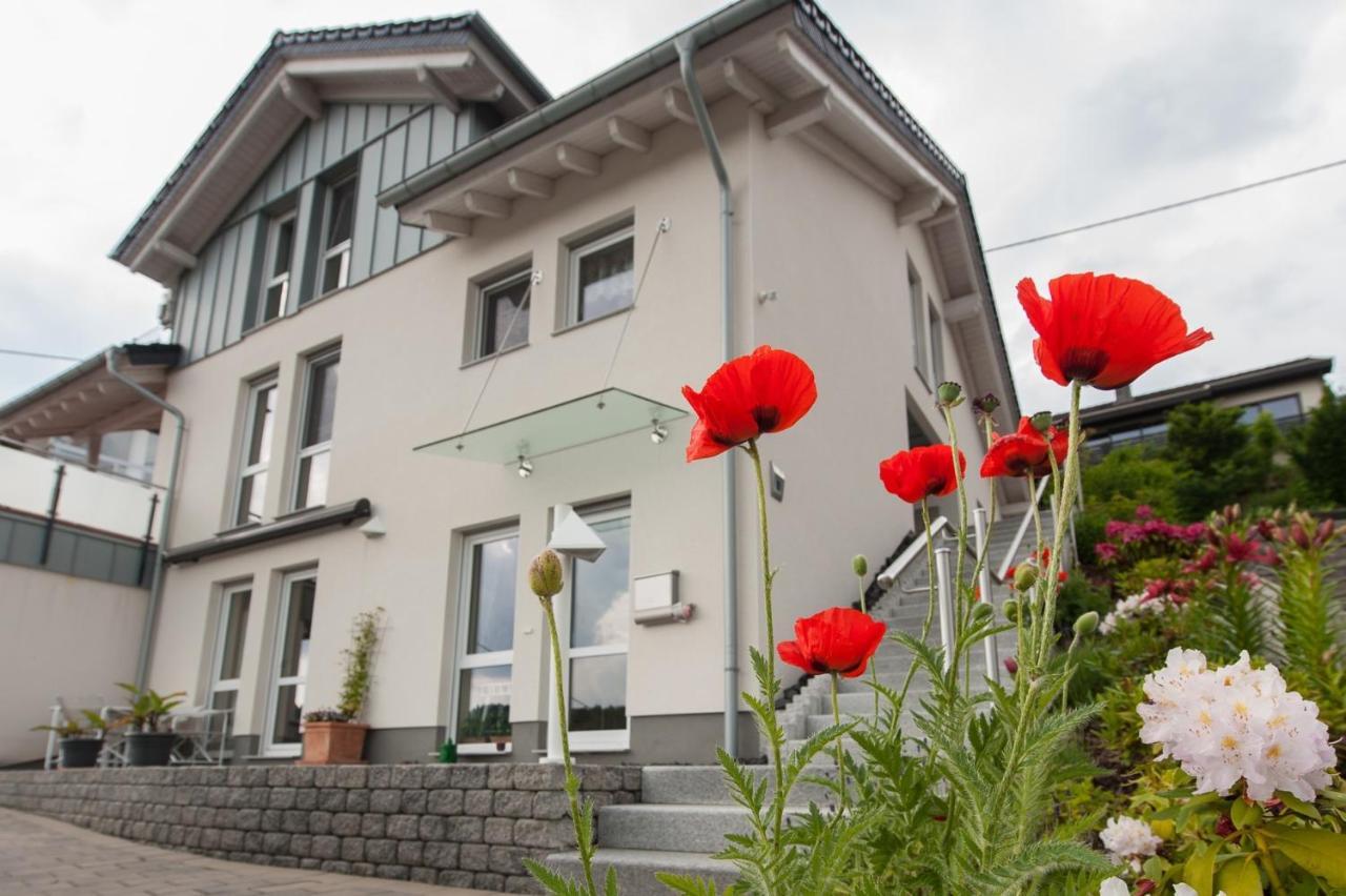 Wohnung Mit Talblick, Ladestation E-Auto Siegen Kültér fotó